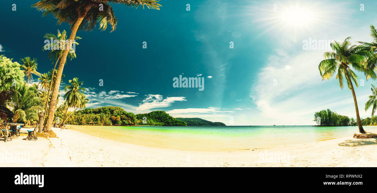 Panorama incroyable silhouette sable plage tropicale avec palmiers de noix de coco dans une mer cristalline sur fond de l'eau nature paysage Banque D'Images