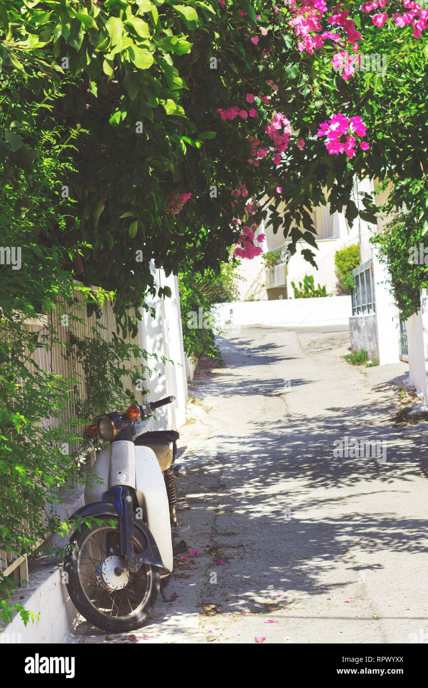 Rues de la ville dans l'île de Poros Neorio, Grèce ; moto garée dans rue étroite couverte de fleurs roses Banque D'Images