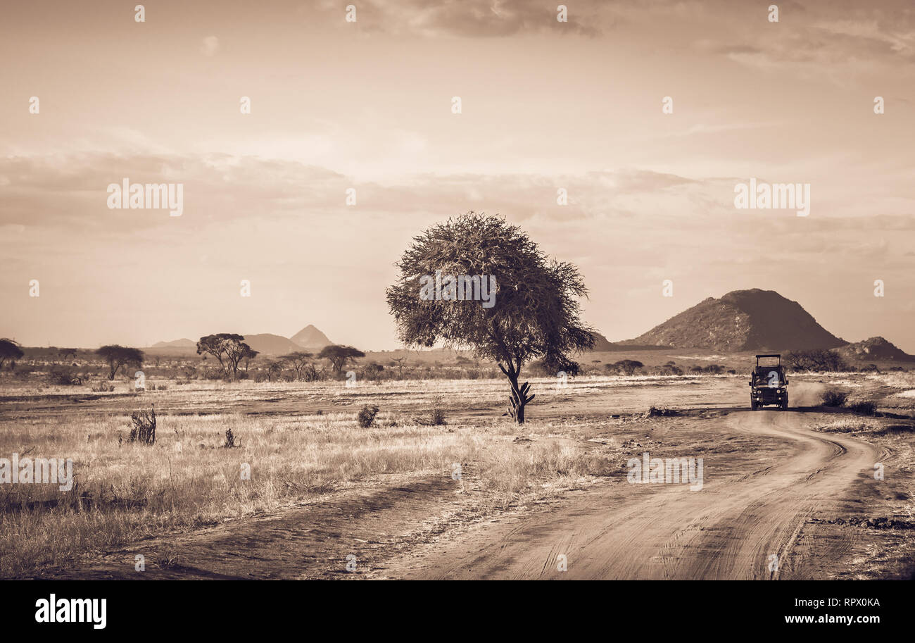 Les plaines de savane incroyable paysage et route safari au Kenya Banque D'Images