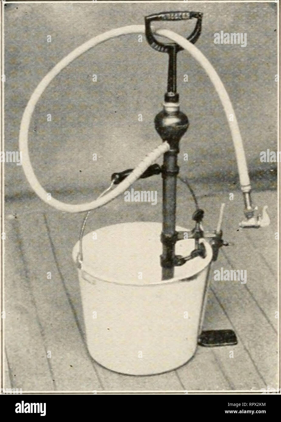 . L'agriculture à travers le laboratoire et le jardin de l'école. Un manuel et un livre de texte pour les écoles élémentaires de l'agriculture. L'agriculture. 304 L'AGRICULTURE. insecte. Le savon a tendance à obstruer les pores- respiration. (2) Tabac sous diverses formes est une utile dans- secticide. Son utilisation est particulièrement recommandée pour les plantes, des serres, des jardins, et des vergers. En pulvérisation, il est préparé par le trempage les tiges de refuser le tabac, et en utilisant le plateau dans un di- chene formulaire. Comme Nikoteen commercialh' préparé est excellent pour les plantes et les roses s'il est appliqué dans une forme diluée. La poussière de tabac ou des tiges est un excellent Banque D'Images