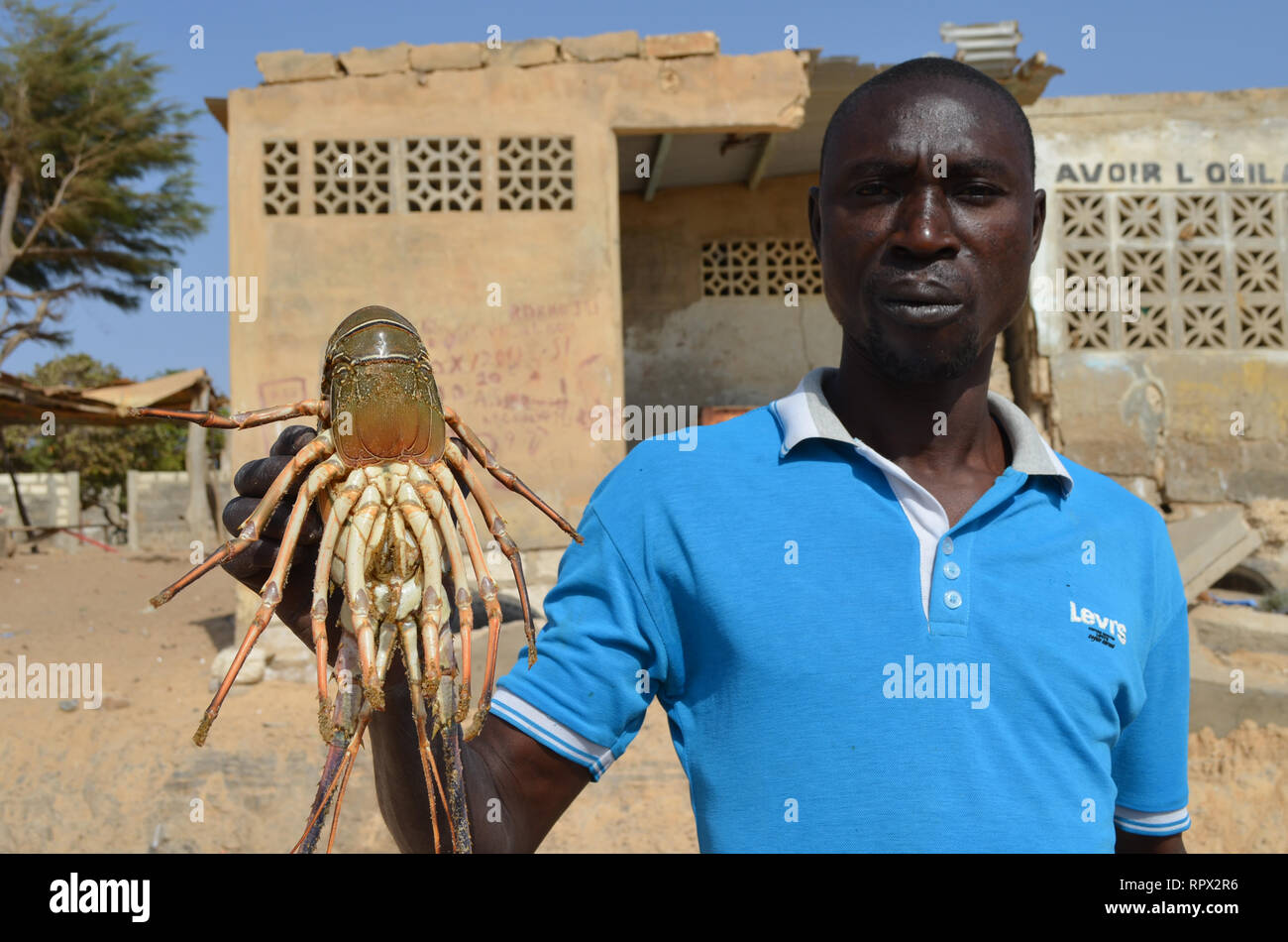 Les pêcheurs artisanaux avec homards fraîchement pêchés, Ngaparou, Sénégal Banque D'Images