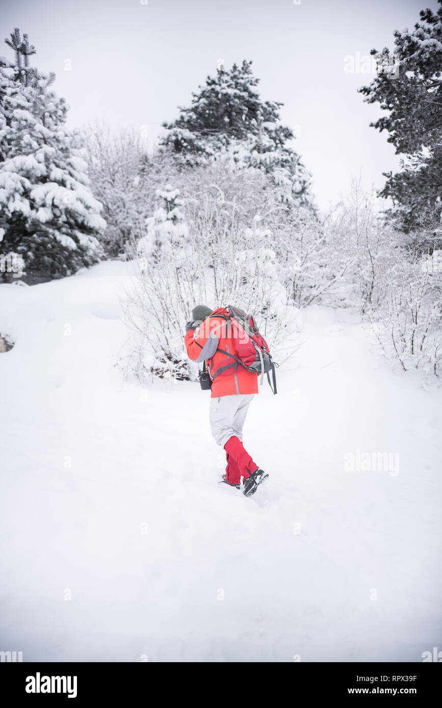 Randonnées en forêt d'hiver femme, Bosnie-Herzégovine Banque D'Images