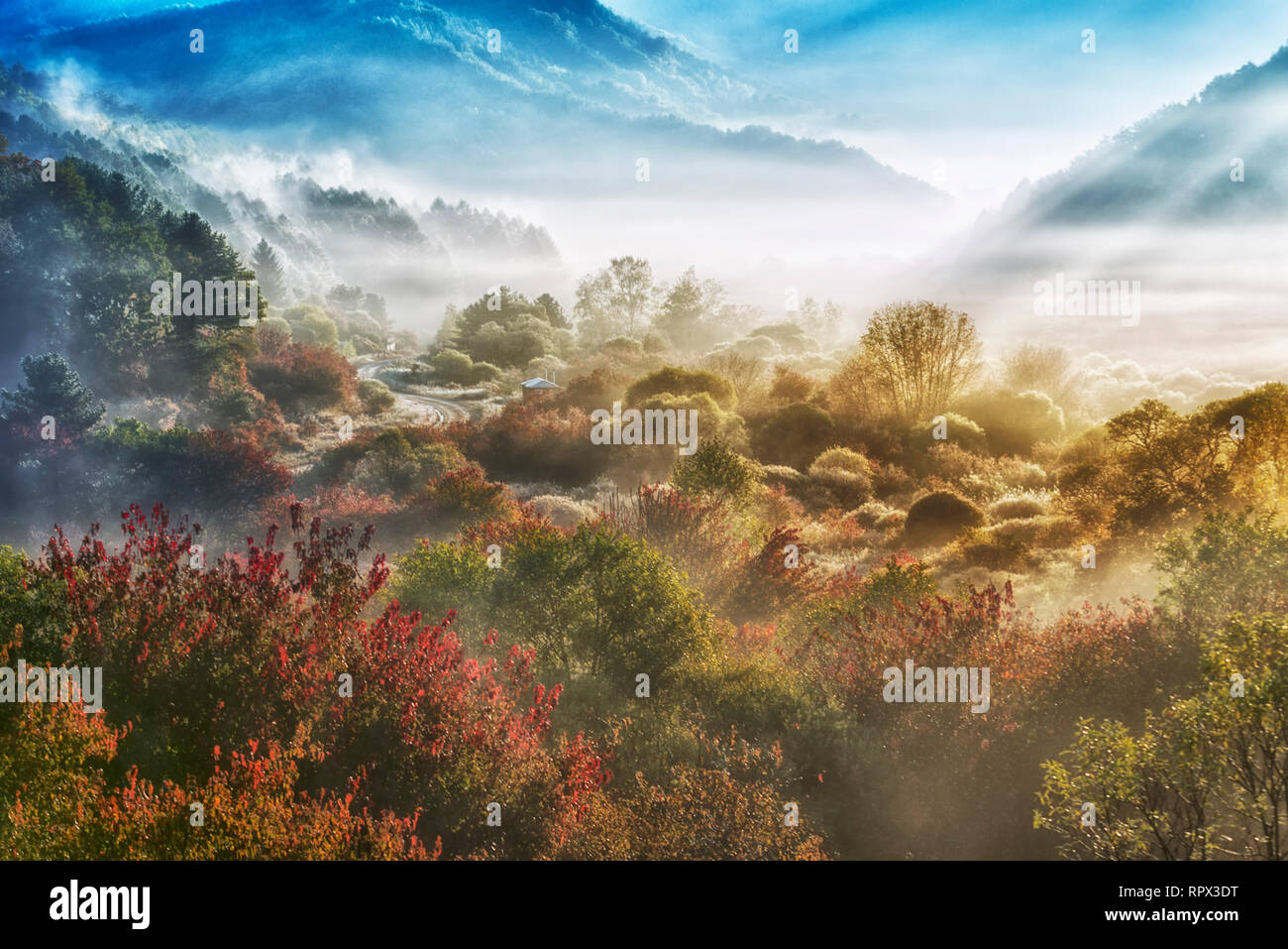 Matin d'automne brumeux, Gangwon-do, Corée du Sud Banque D'Images