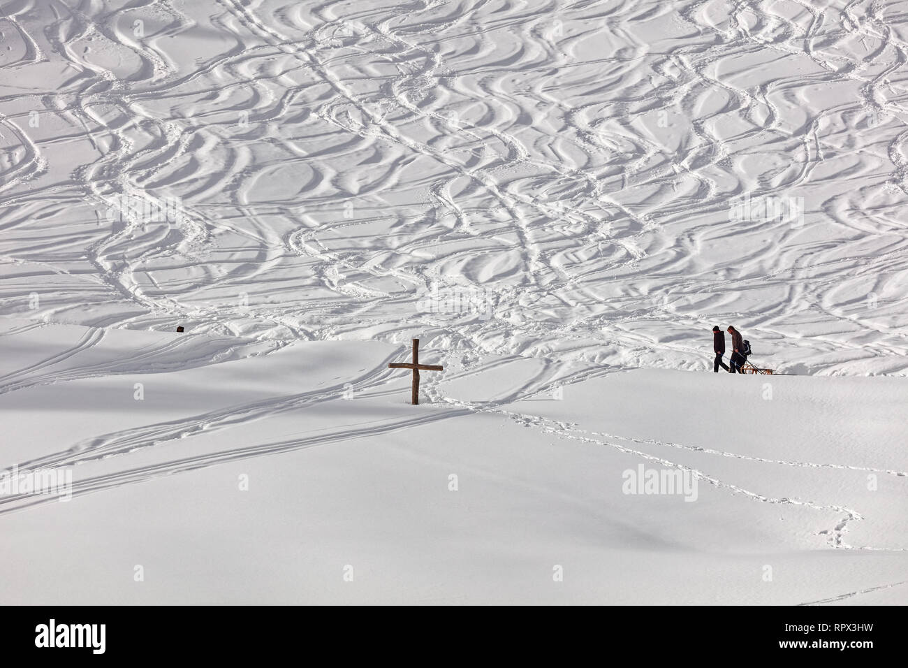 Schwarzenberg, Vorarlberg, Autriche - Février 10, 2019 : dogwith avec traîneaux luge et pistes de neige en arrière-plan à Hinterbergalpe - Vorarlberg, Austri Banque D'Images