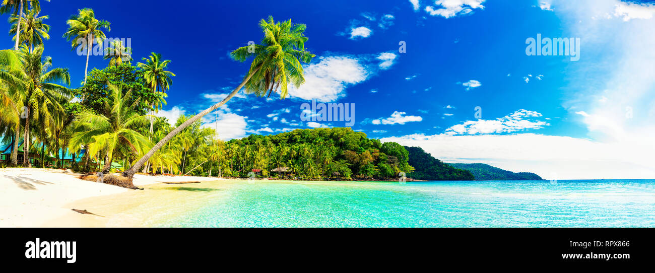 Panorama incroyable silhouette sable plage tropicale avec palmiers de noix de coco dans une mer cristalline sur fond de l'eau nature paysage Banque D'Images