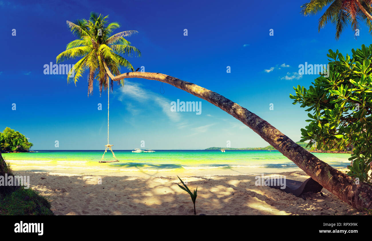 Nature paysage tropical beach Thaïlande avec décor palmier, clair comme de l'eau de mer à sunny day Banque D'Images