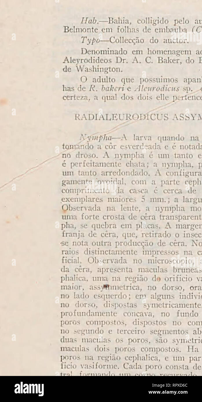 . Aleyrodideos do Brasil : catalogo descriptivo-homopteros hemipteros dos dos da Familia, aleyrodideos insectos parasitas das plantas, encontrados no Brasil. - 25 -. ['Igf, 9. Rx/rocthus assvmmeti fia l'UE ns. un 'nvmoha-casulo ila ; b-i6ro iwiposto ; dorsale c-- glan In'a.4 ajfgr s upadas-, visant, intetseguientarias ; d • ou ficio V.H1, fornii póios com simples em ;edor ; e -nitrgciu n'casulo, (original). SciELOl 10 11 12 13 1. Veuillez noter que ces images sont extraites de la page numérisée des images qui peuvent avoir été retouchées numériquement pour plus de lisibilité - coloration et l'apparition de ces illustrations ma Banque D'Images . Aleyrodideos do Brasil : catalogo descriptivo-homopteros hemipteros dos dos da Familia, aleyrodideos insectos parasitas das plantas, encontrados no Brasil. - 25 -. ['Igf, 9. Rx/rocthus assvmmeti fia l'UE ns. un 'nvmoha-casulo ila ; b-i6ro iwiposto ; dorsale c-- glan In'a.4 ajfgr s upadas-, visant, intetseguientarias ; d • ou ficio V.H1, fornii póios com simples em ;edor ; e -nitrgciu n'casulo, (original). SciELOl 10 11 12 13 1. Veuillez noter que ces images sont extraites de la page numérisée des images qui peuvent avoir été retouchées numériquement pour plus de lisibilité - coloration et l'apparition de ces illustrations ma Banque D'Images