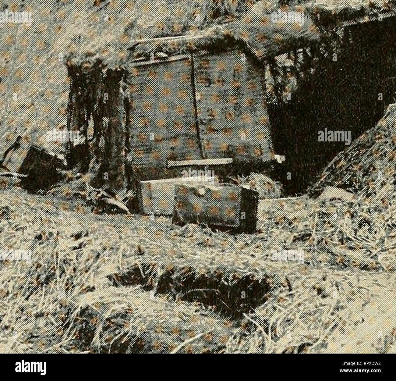 . Les îles Aléoutiennes : leur peuple et l'histoire naturelle (avec des clés d'identification des oiseaux et des plantes). Aléoutes ; l'histoire naturelle. Sip .  ?  : ? "*" Tf&gt ; 12 : Plaque supérieure camouflé et cabane à cook japonais tentes dans l'anneau extérieur de Jap défenses sur Attu, la première défense à l'automne pour les Américains. Remarque Les caractères japonais sur la cabane à Cook, et l'abondante strand blé ou seigle sauvage. Plus bas : Cette photographie a été prise par une unité de photographie de combat de la marine lors de la première vague de soldats américains ont été mis à terre sur Attu occupés-japonais. Un détail de soldats est porteur d'un retour Banque D'Images