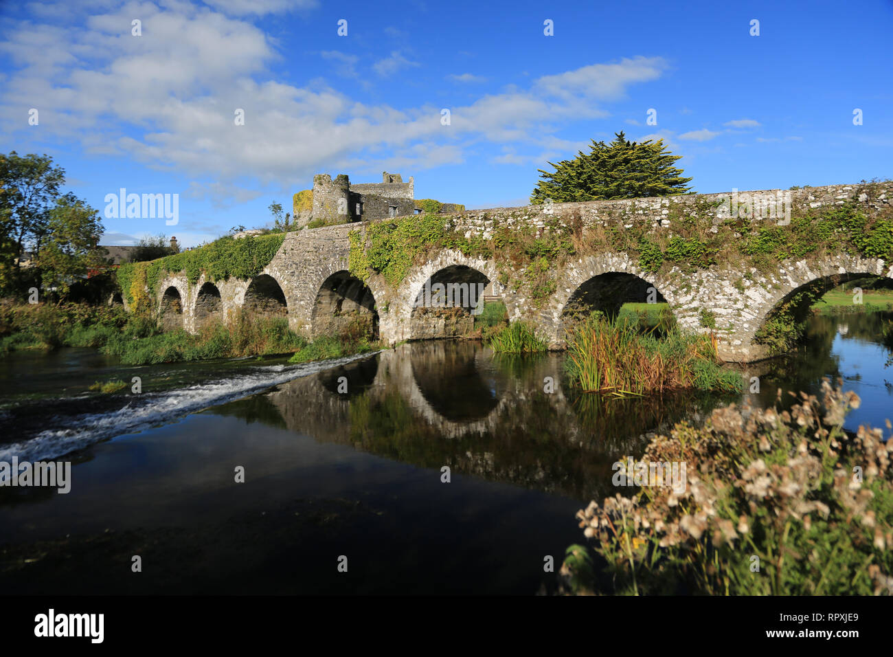 Ancienne usine désaffectée sur funchion River, comté de Cork, Irlande Banque D'Images