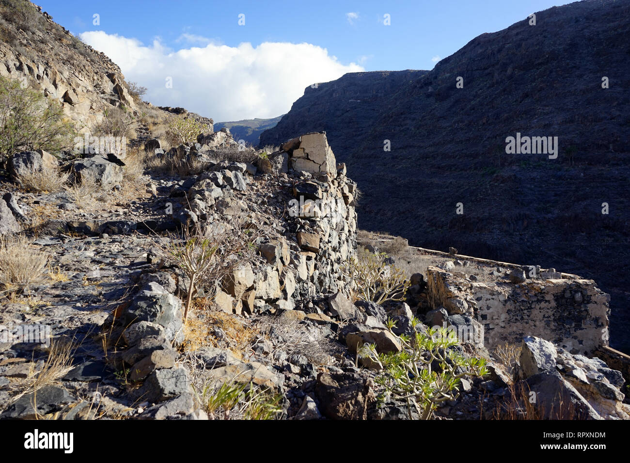 Sentier sur le rocher sur la côte de l'île de La Gomera, Espagne Banque D'Images