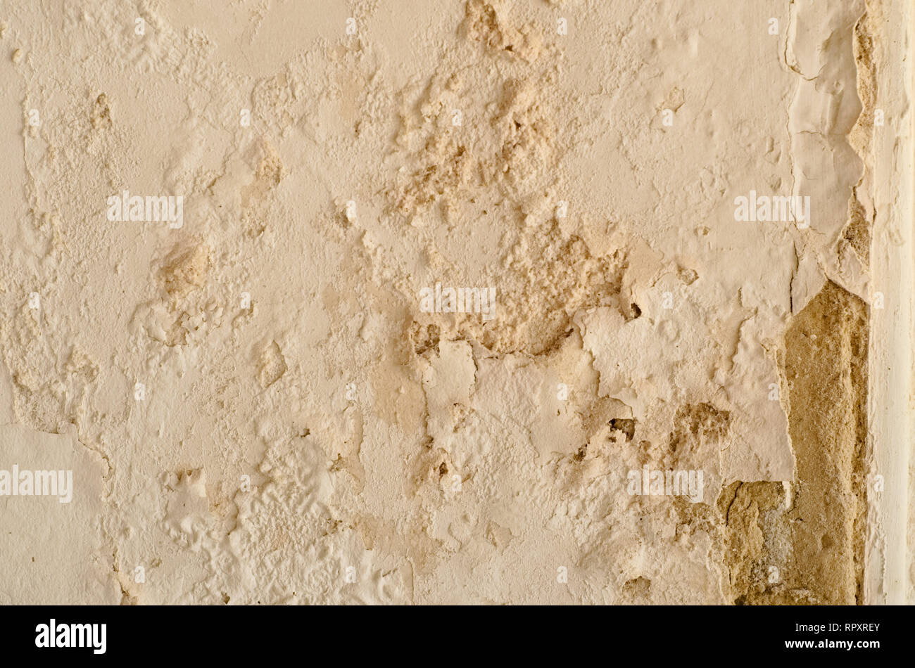 Blanc patiné vieux mur de briques endommagées texture prêt pour votre conception architecturale Banque D'Images