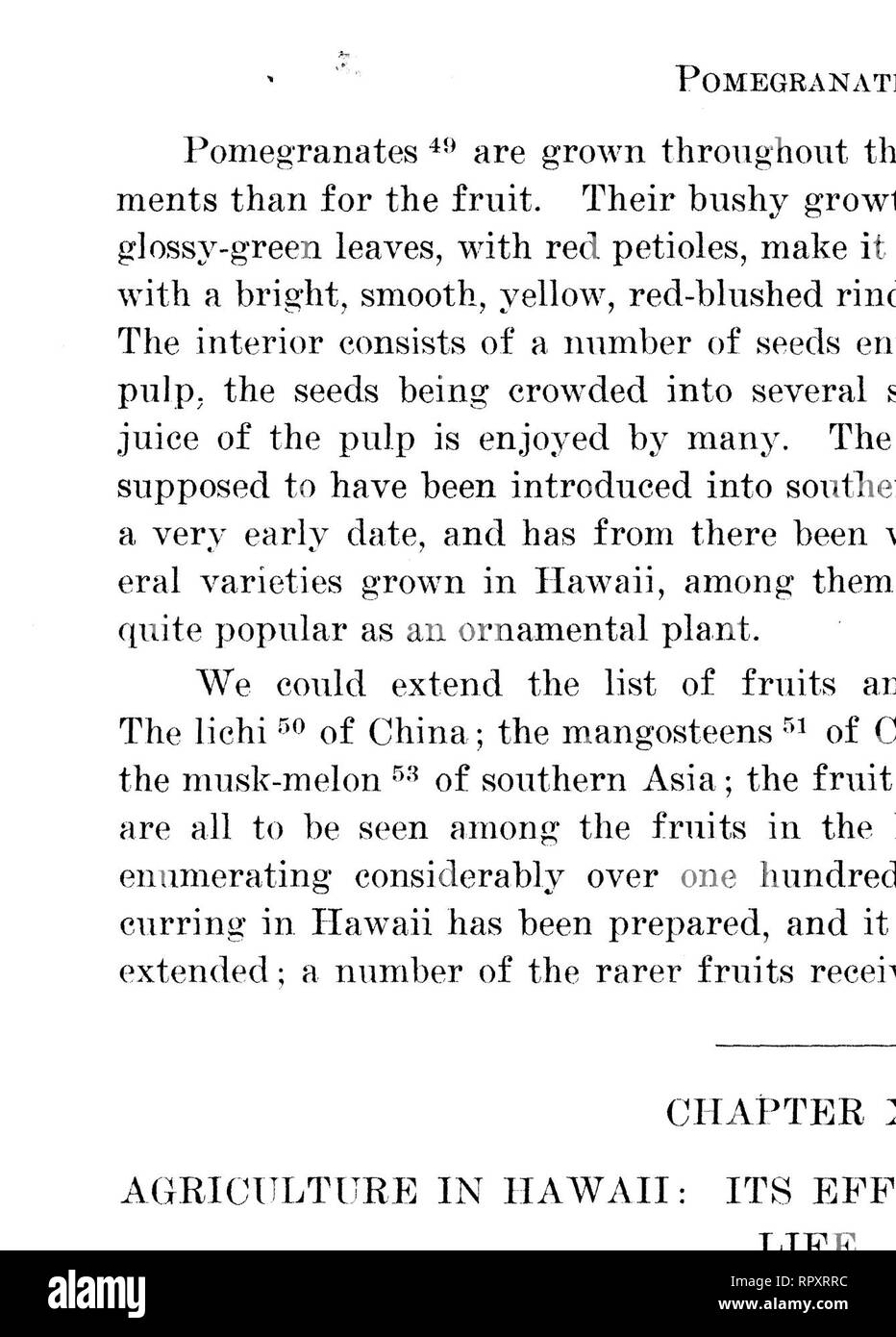 . L'histoire naturelle de New York, étant un compte de le peuple hawaiien, la géologie et la géographie des îles et de la native et plantes et animaux du groupe. L'histoire naturelle, de l'Ethnologie. . Veuillez noter que ces images sont extraites de la page numérisée des images qui peuvent avoir été retouchées numériquement pour plus de lisibilité - coloration et l'aspect de ces illustrations ne peut pas parfaitement ressembler à l'œuvre originale.. Bryan, William Alanson, 1875-1942. Honolulu, Hawaii [Imprimé pour l'auteur par] la gazette du hawaïen Co.,Ltd. Banque D'Images