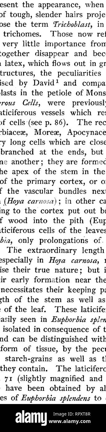. Texte-livre de botanique, morphologiques et physiologiques. La botanique. 86 MORPHOLOGIE DES TISSUS. difficile à suivre ; encore plus dans l'oléandre, où aussi le contenu est plus limpide. Une coalescence des cellules provient de l'union des tissus de cellules semblables, jusqu'à ce que leur contenu coalesce, complètement la partition-murs devenir partiellement ou totalement ab- sorbée. De cette manière sont formés les ag- gregates filiformes de cellules d'intercommunication, constituant des tubes remplis d'air ou sap, qui sont connus comme les navires, tels que les bateaux, navires ou d'un tamis-Bast-tubes, et Latici grossiers rubéfiés- vaisseaux. Mais ro Banque D'Images