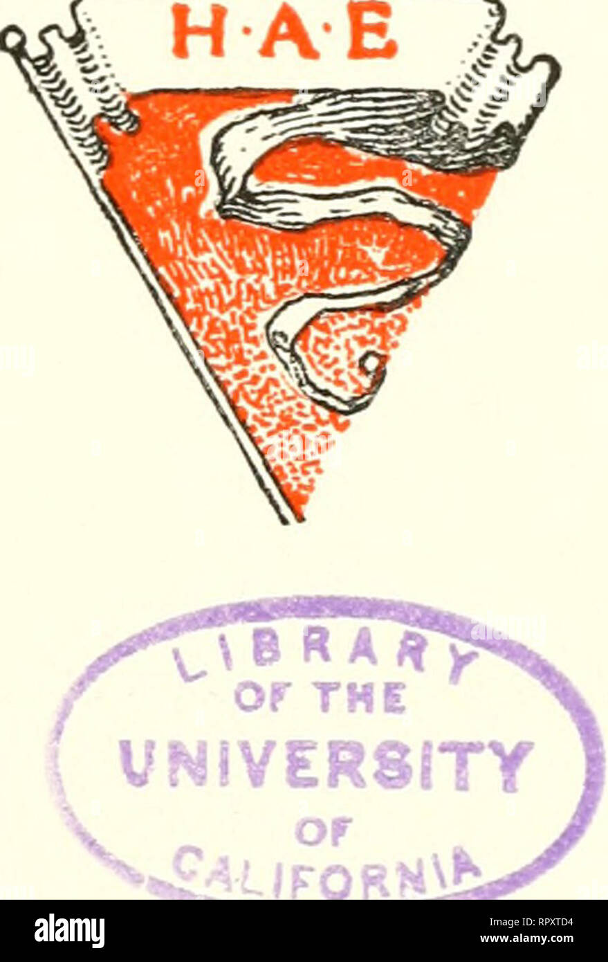 . De l'Alaska. Histoire naturelle -- Alaska ; expéditions scientifiques ; l'Alaska. HARRIMAN ALASKA EXPÉDITION AVEC LA COOPÉRATION DE L'ACADÉMIE DES SCIENCES DE WASHINGTON ALASKA VOLUME VIII INSECTES PARTIE I par William H. Ashmead, Nathan Banques, A. N., others liked O. F. Cook, Rolla P. Currie, Harrison g. Dyar, Daniel Watson Folsom, O. Heidemann, Trevor Kincaid, Theo. Pergande et E. a. Schwarz. ou JFORH) NEW YORK, Doubleday, Page & ; COMPANY 1904. Veuillez noter que ces images sont extraites de la page numérisée des images qui peuvent avoir été retouchées numériquement pour plus de lisibilité - coloration et l'apparition de ces illustrations peuvent n Banque D'Images . De l'Alaska. Histoire naturelle -- Alaska ; expéditions scientifiques ; l'Alaska. HARRIMAN ALASKA EXPÉDITION AVEC LA COOPÉRATION DE L'ACADÉMIE DES SCIENCES DE WASHINGTON ALASKA VOLUME VIII INSECTES PARTIE I par William H. Ashmead, Nathan Banques, A. N., others liked O. F. Cook, Rolla P. Currie, Harrison g. Dyar, Daniel Watson Folsom, O. Heidemann, Trevor Kincaid, Theo. Pergande et E. a. Schwarz. ou JFORH) NEW YORK, Doubleday, Page & ; COMPANY 1904. Veuillez noter que ces images sont extraites de la page numérisée des images qui peuvent avoir été retouchées numériquement pour plus de lisibilité - coloration et l'apparition de ces illustrations peuvent n Banque D'Images