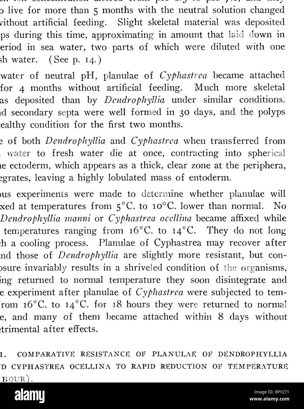 . La croissance des coraux hawaïens. Les coraux. i6 Bernice P. Bishop Museum-Bulletin 58. Figure 4.-Sections de planulas de Cyphastrea ocellina : a, h, coupes longitudinales d'un stade ultérieur et-c, section transversale à travers la première paire de mésentères-d, section par extrémité aborale montrant couche nerf épaissis-e, section longitudinale à travers l'ouverture orale-f, section de mur de planula, fortement amplifié : EC, l'ectoderme, ef, fibres élastiques ; en, entoderm ; ep, l'épithélium ; gc, cavité gastrique ; gl, presse-étoupe, mg, mesogloea ; ms, mésentère ; n, nematocyst ; nl ; couche nerf, op, l'ouverture buccale ; z, zooxanthelles.. Moyen Banque D'Images