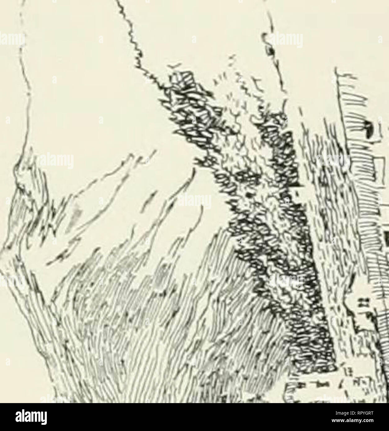 Origines "Italien" (1907) Banque D'Images