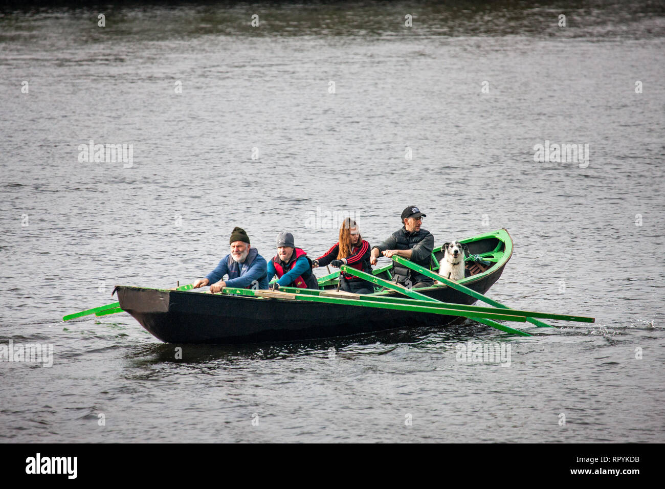 La ville de Cork, Cork, Irlande. 23 Février, 2019. Membres de Naomhóga Chorcaí accompagnés de leur chien originaire de rangs Currach irlandais de l'ouest de l'Irlande sur la rivière Lee dans la ville de Cork, Irlande. Crédit : David Creedon/Alamy Live News Banque D'Images