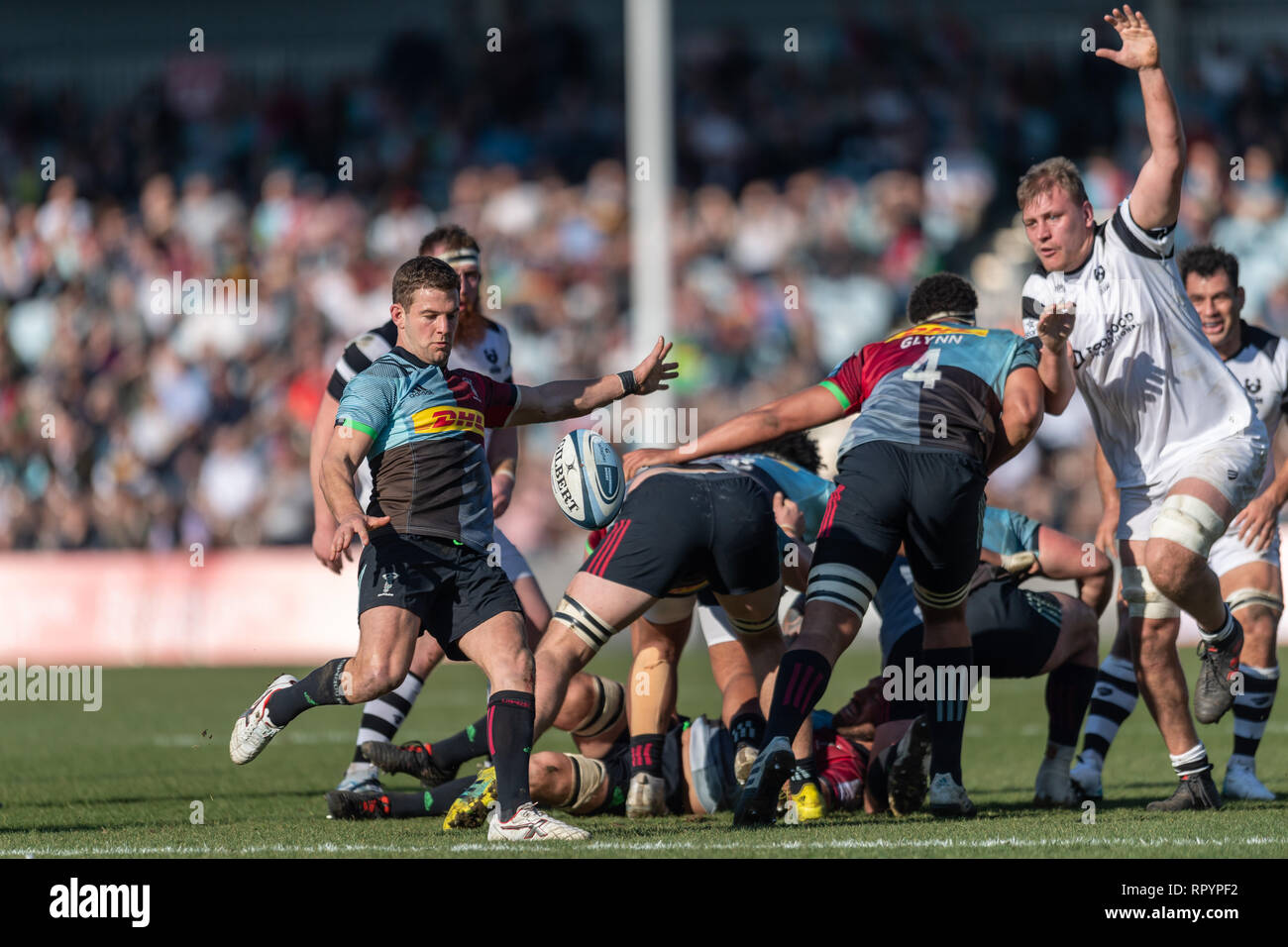 Twickenham, London, UK. Feb 23, 2019. Charlie Mulchrone des Harlequins en action au cours de Premiership match Gallagher entre Harlequins et Bristol au Twickenham Stoop le Samedi, 23 février 2019. Londres en Angleterre. (Usage éditorial uniquement, licence requise pour un usage commercial. Aucune utilisation de pari, de jeux ou d'un seul club/ligue/dvd publications.) Crédit : Taka G Wu/Alamy News Crédit : Taka Wu/Alamy Live News Banque D'Images