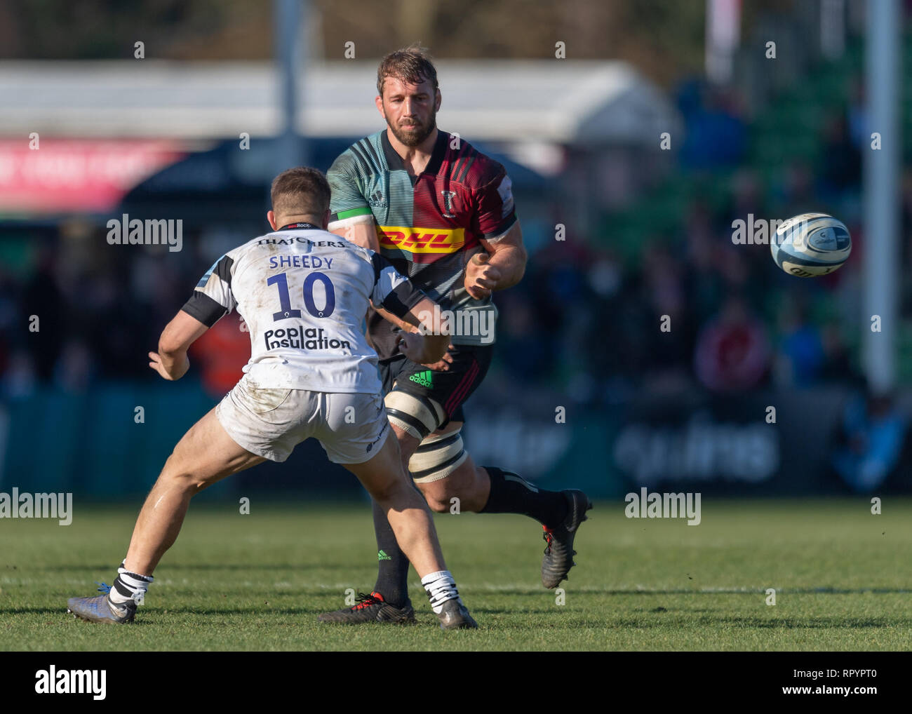 Londres, Royaume-Uni. Feb 23, 2019. Chris Robshaw des Harlequins (CC) en action au cours de Premiership match Gallagher entre Harlequins et Bristol au Twickenham Stoop le Samedi, 23 février 2019. Londres en Angleterre. (Usage éditorial uniquement, licence requise pour un usage commercial. Aucune utilisation de pari, de jeux ou d'un seul club/ligue/dvd publications.) Crédit : Taka G Wu/Alamy News Crédit : Taka Wu/Alamy Live News Banque D'Images