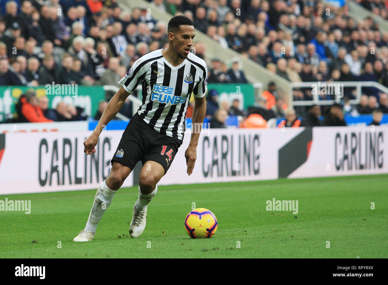 NEWCASTLE Upon Tyne, au Royaume-Uni. 23e février du Newcastle United Isaac Hayden au cours de la Premier League match entre Newcastle United et Huddersfield Town à St James Park, Newcastle Le samedi 23 février 2019. (Crédit : Steven Hadlow | MI News) Credit : MI News & Sport /Alamy Live News Banque D'Images