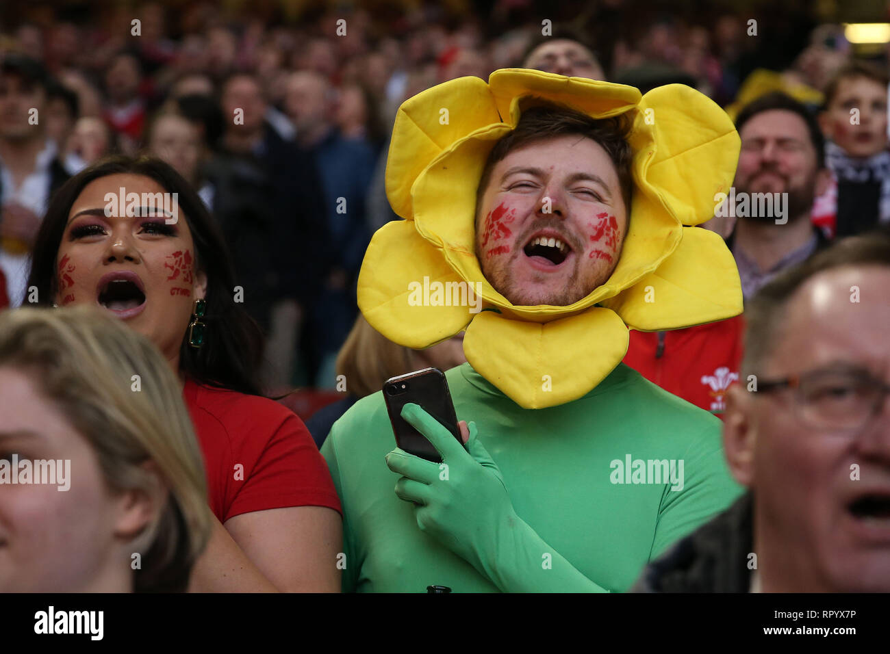 Cardiff, Royaume-Uni. Feb 23, 2019. Pays de Galles fans célébrer. Pays de Galles v Angleterre, Six Nations 2019 Guinness international rugby match à la Principauté Stadium de Cardiff, Pays de Galles, Royaume-Uni Le samedi 23 février 2019. Photos par Andrew Verger/Alamy Live News VEUILLEZ NOTER PHOTO DISPONIBLE POUR UN USAGE ÉDITORIAL UNIQUEMENT Banque D'Images