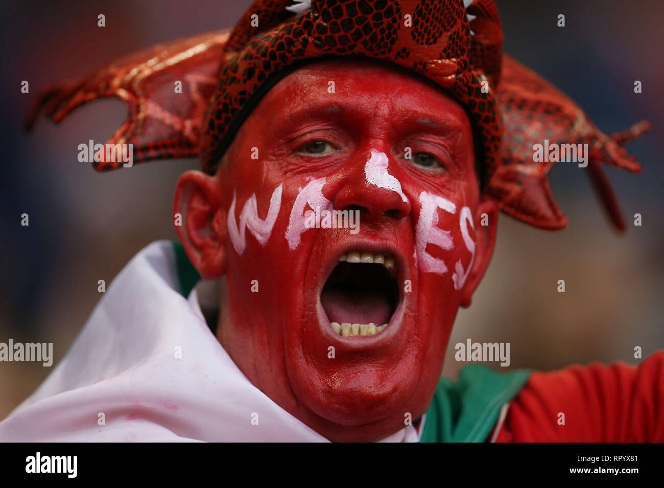 Cardiff, Royaume-Uni. Feb 23, 2019. Pays de Galles fans célébrer. Pays de Galles v Angleterre, Six Nations 2019 Guinness international rugby match à la Principauté Stadium de Cardiff, Pays de Galles, Royaume-Uni Le samedi 23 février 2019. Photos par Andrew Verger/Alamy Live News VEUILLEZ NOTER PHOTO DISPONIBLE POUR UN USAGE ÉDITORIAL UNIQUEMENT Banque D'Images