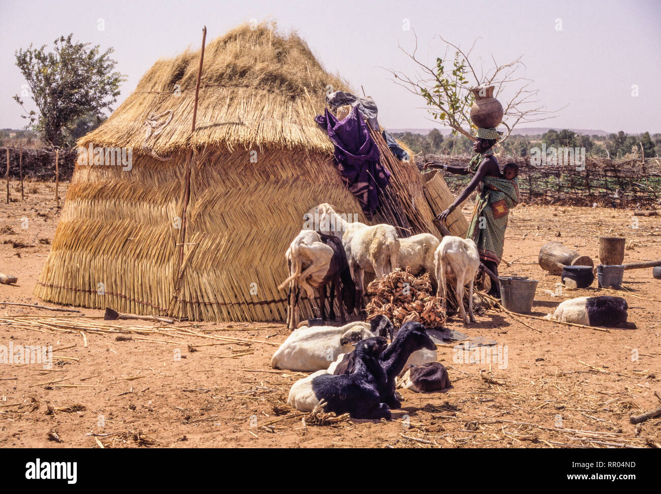 Djerma (Zarma) qui entre dans sa hutte avec Pot sur la tête, bébé au dos. Djiliki, au Niger. Banque D'Images