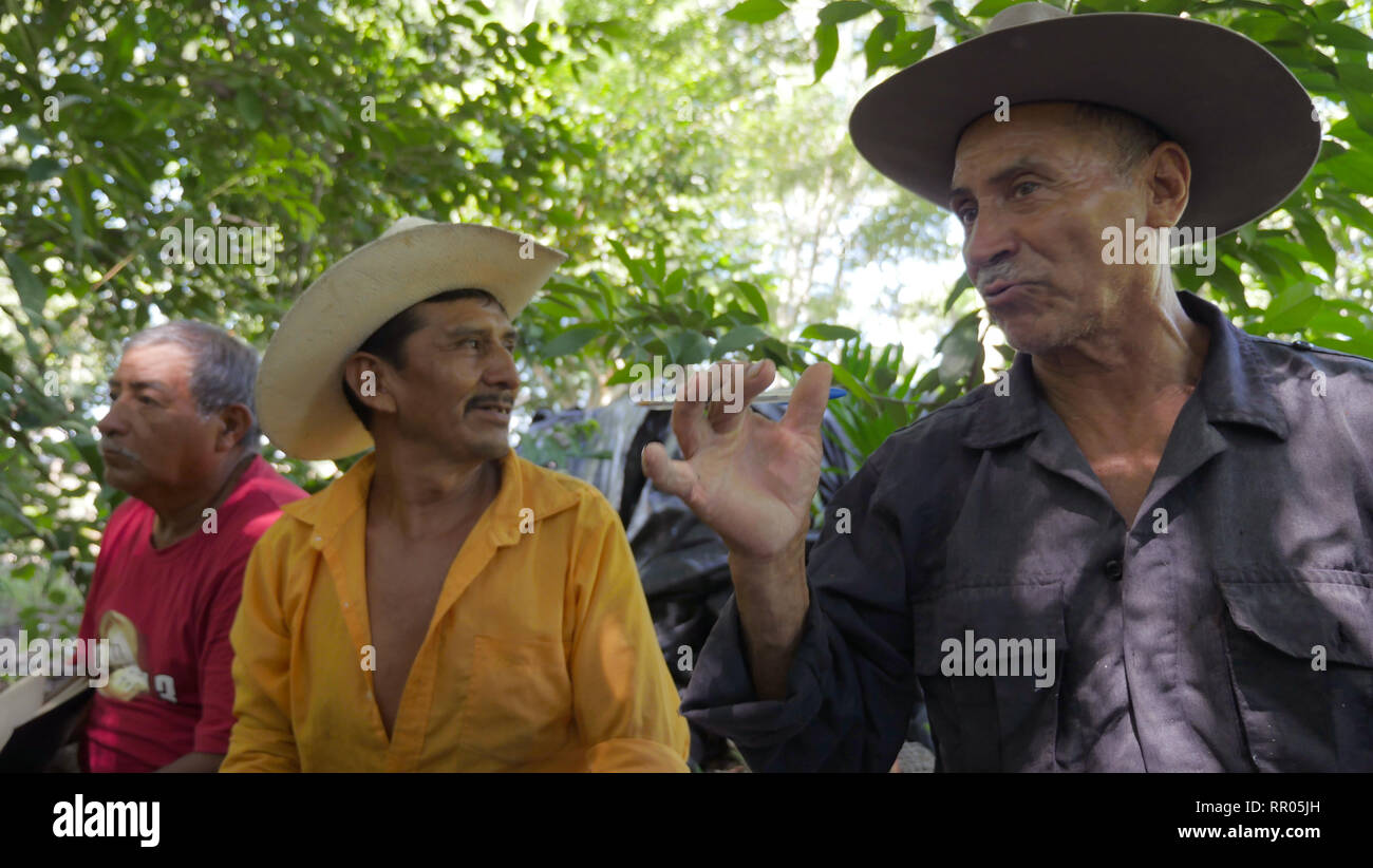 Atelier pour les agriculteurs AU GUATEMALA sur l'horticulture biologique, durable, organisé par l'Église catholique, El Remate, Petén. Rodolfo Escolastico (HAT), le propriétaire de la parcelle de terre où la manifestation a eu lieu. Il cultive 27 différentes sortes d'arbres fruitiers sur ses 2,4 hectares. Banque D'Images