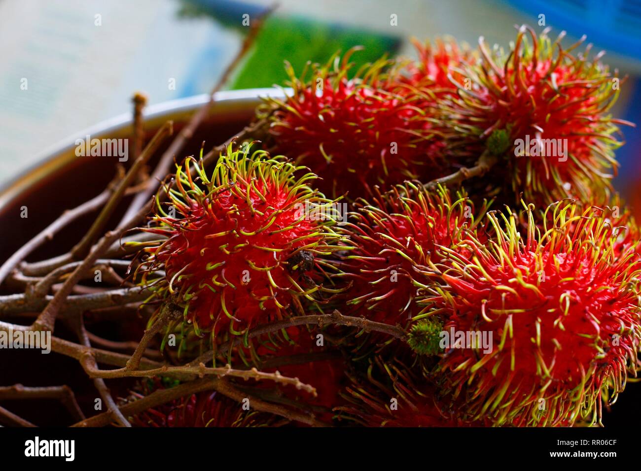 Bunch of fresh ramboutan, rouge et hairly fruits tropicaux Banque D'Images