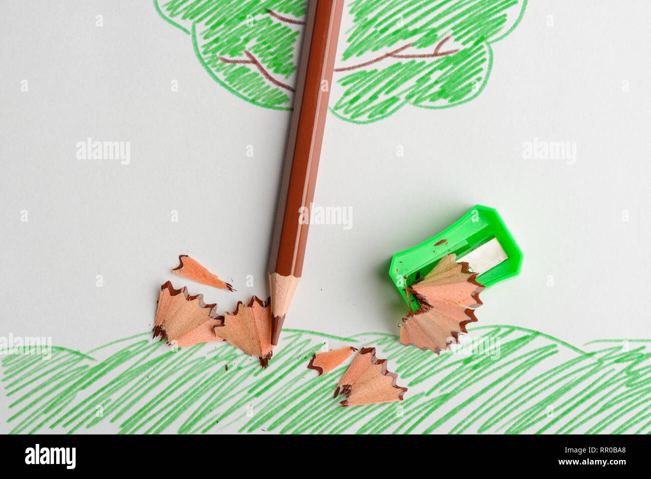 Les forêts sont détruites Banque D'Images