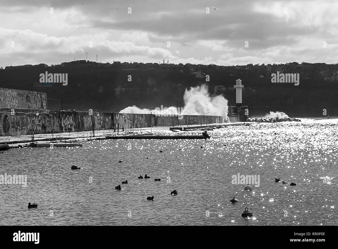 D'énormes vagues de tempête détaillées splash voir goélands insouciante face à la mer Banque D'Images