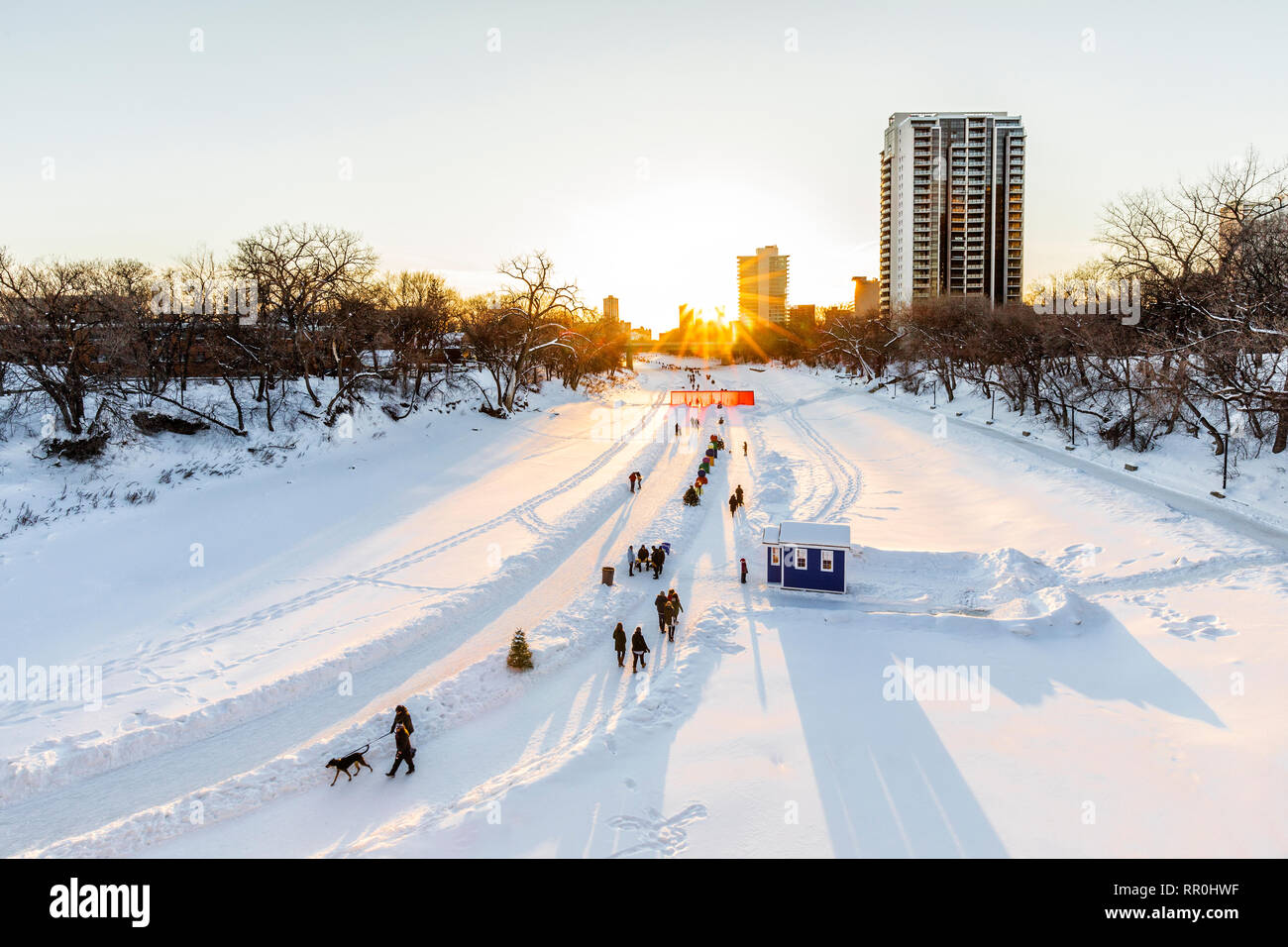 Les marcheurs, randonneurs et patineurs sur le sentier de la rivière Assiniboine au coucher du soleil, une partie de la rivière Rouge, le sentier mutuelle Fourche, Winnipeg, Manitoba, Canada. Banque D'Images