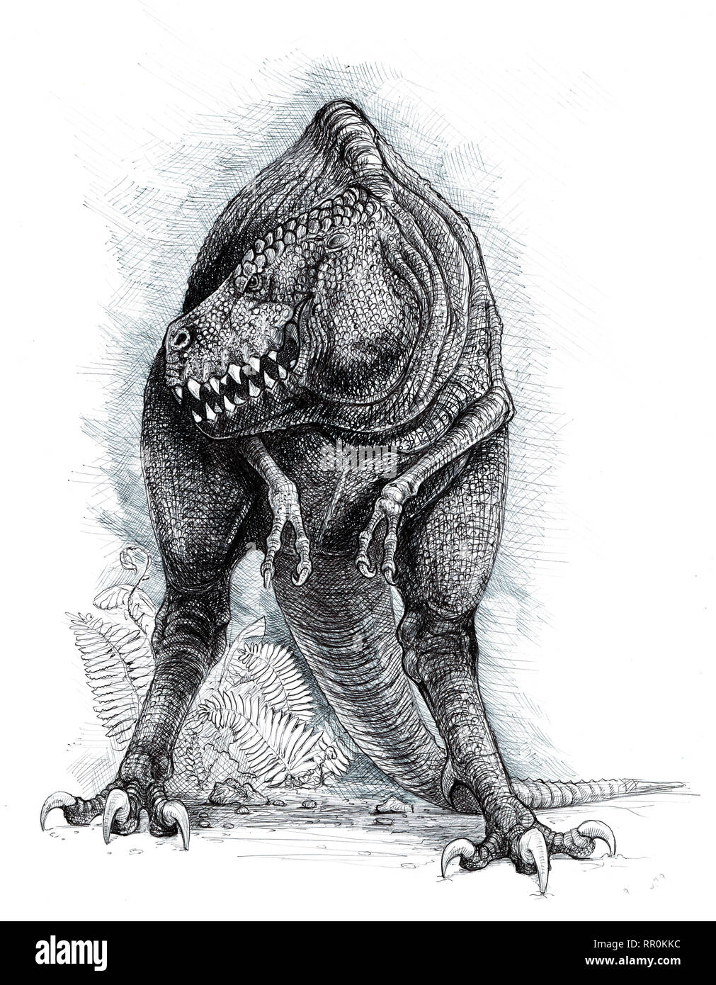 Tyrannosaurus rex dessin. Fait main dinosaure illustration. Ancien dragon. T-rex. Banque D'Images