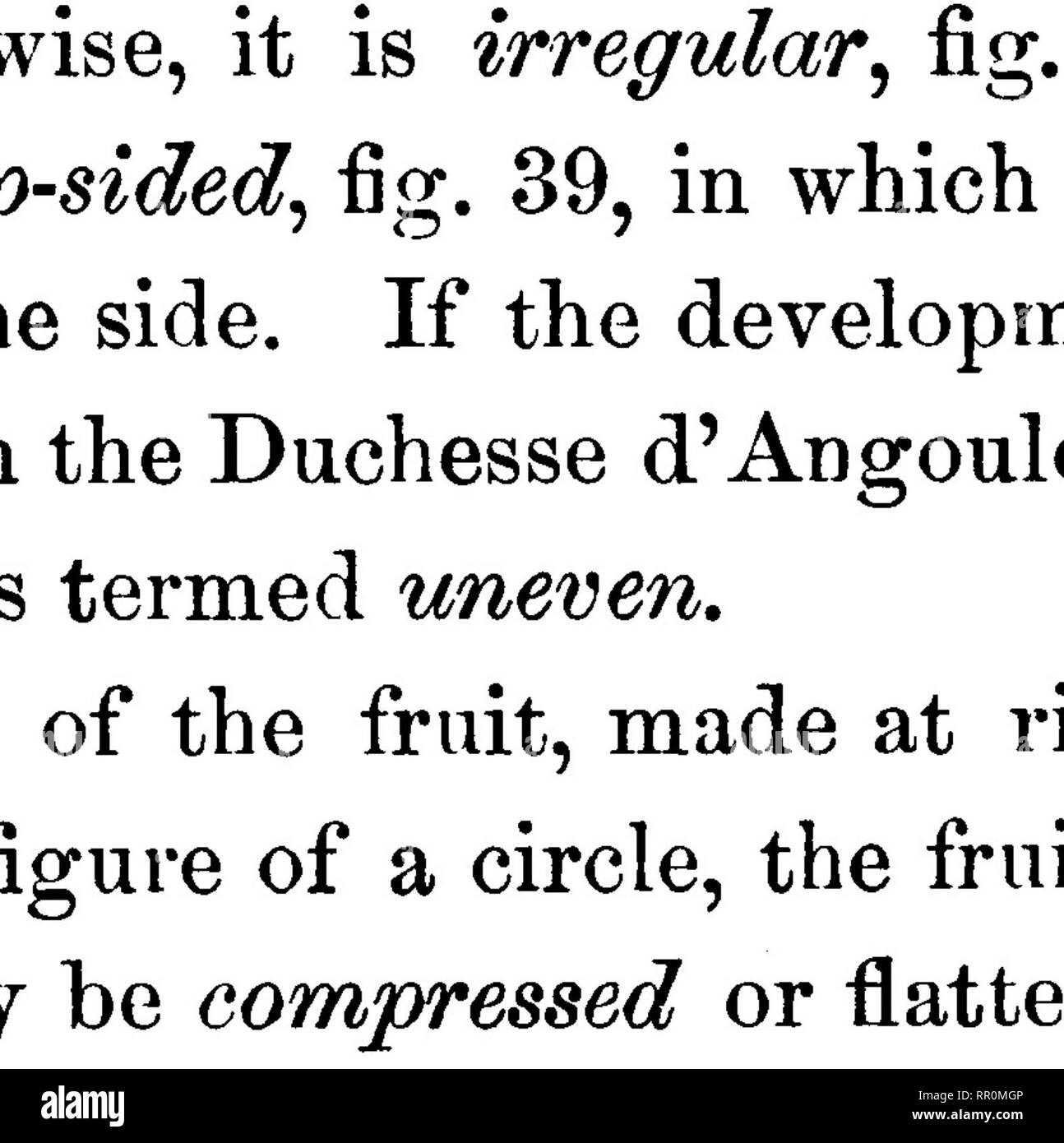 . American pomologie : pommes. Les pommes. Fig. 40.-comprimé. Fig. 41.-quadrangulaire.. Veuillez noter que ces images sont extraites de la page numérisée des images qui peuvent avoir été retouchées numériquement pour plus de lisibilité - coloration et l'aspect de ces illustrations ne peut pas parfaitement ressembler à l'œuvre originale.. Warder, J. A. (John Aston), 1812-1883. New York : Orange Judd et de l'entreprise Banque D'Images