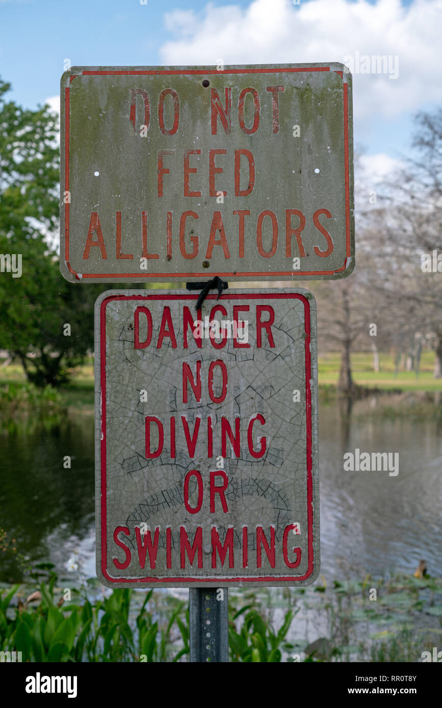 Ne pas nourrir les alligators, pas de piscine Banque D'Images