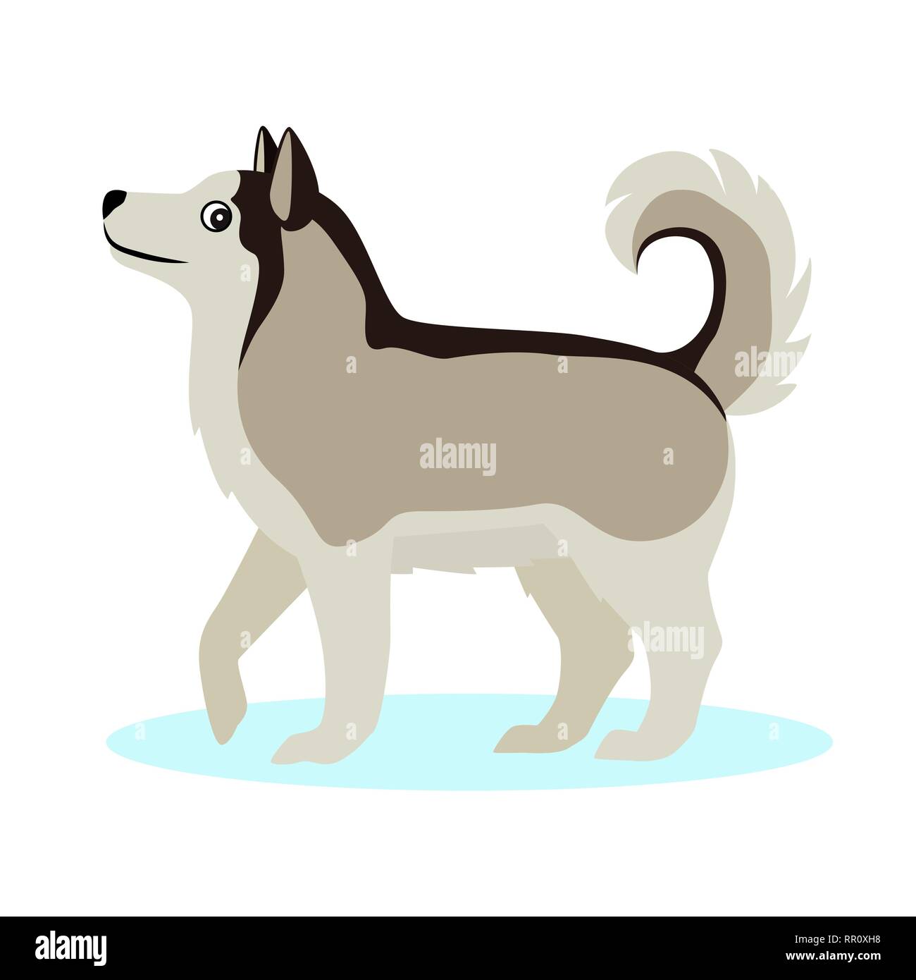 Jolie icône Alaskan Malamute, gros chien poilu, isolé sur fond blanc Illustration de Vecteur