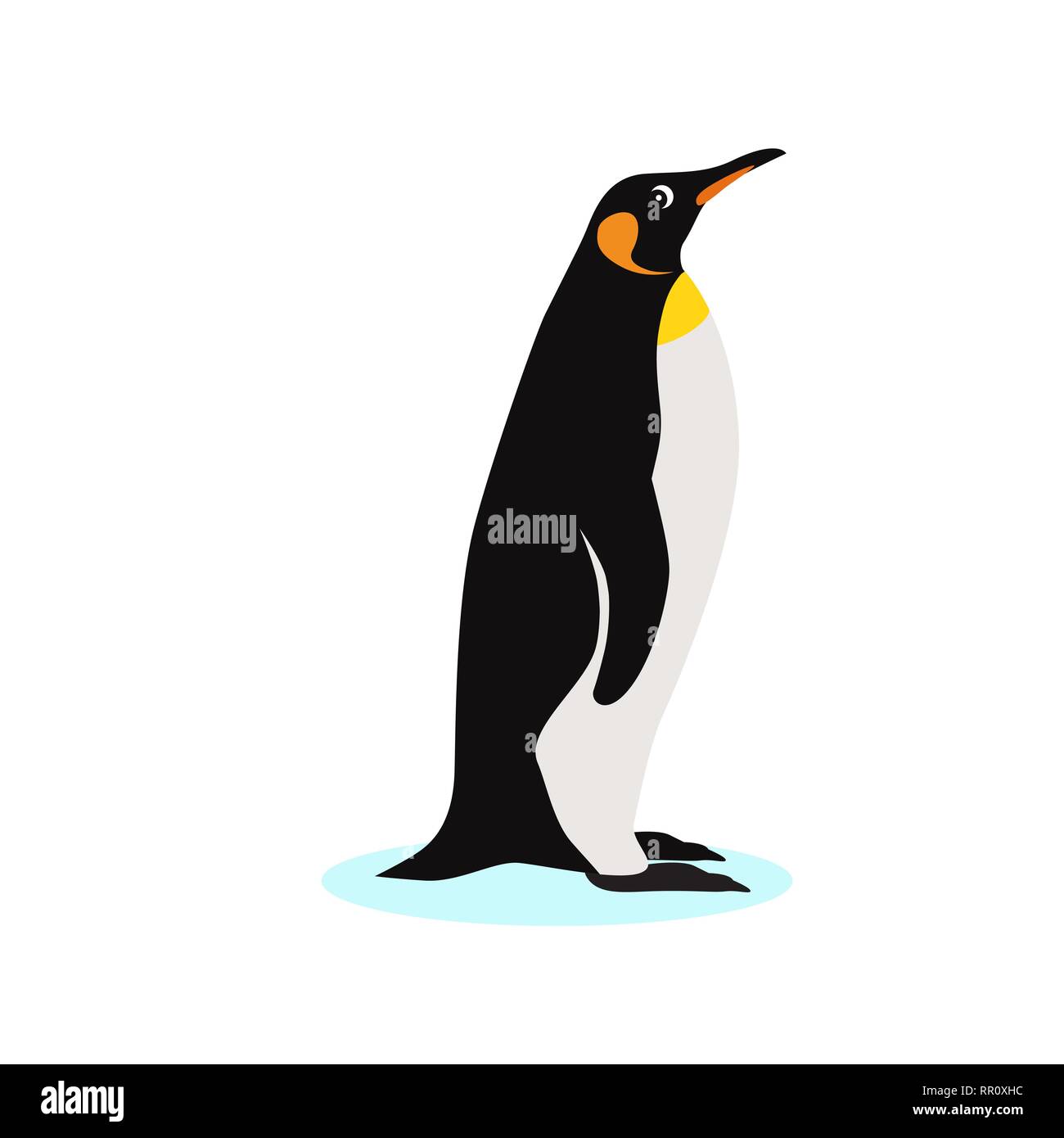 L'icône King penguin, isolé sur fond blanc Illustration de Vecteur