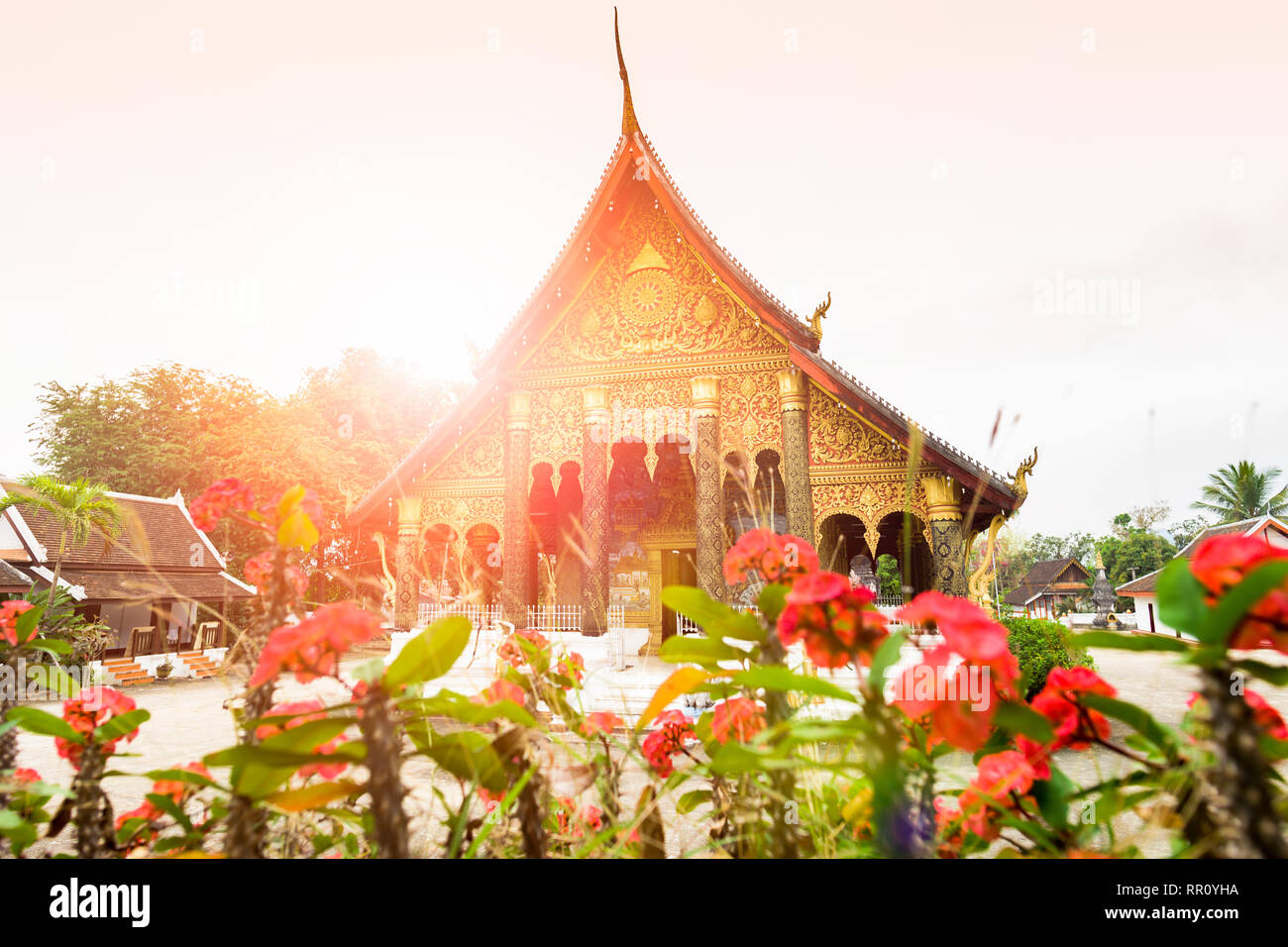 (Selective focus) vue imprenable sur le magnifique Wat Mahathat au coucher du soleil avec un peu floue Dok Champa laos national fleurs au premier plan. Banque D'Images
