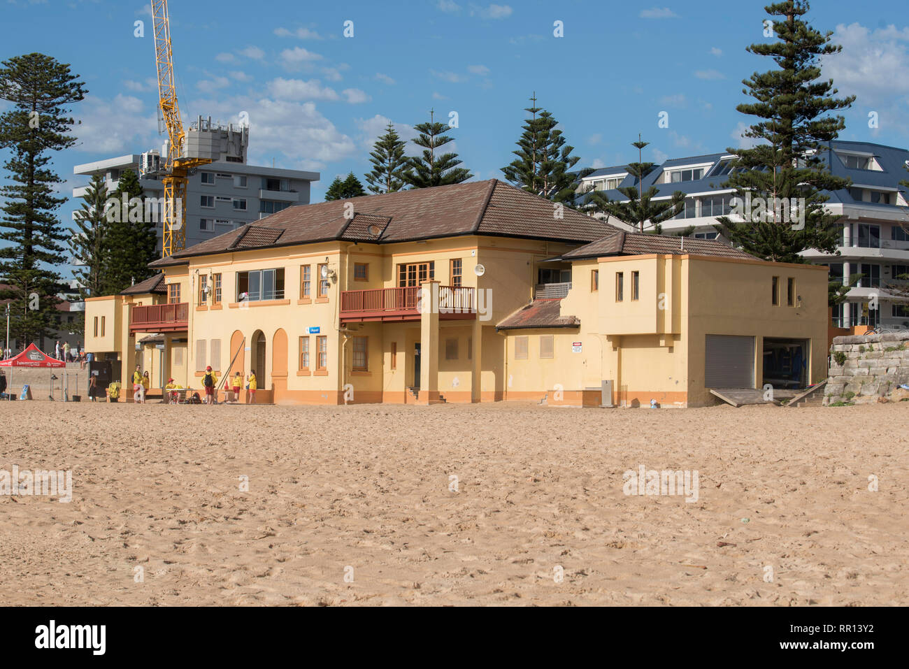 Le South Steyne surf club house et pins de Norfolk à Sydney Manly Beach, New South Wales, Australie Banque D'Images