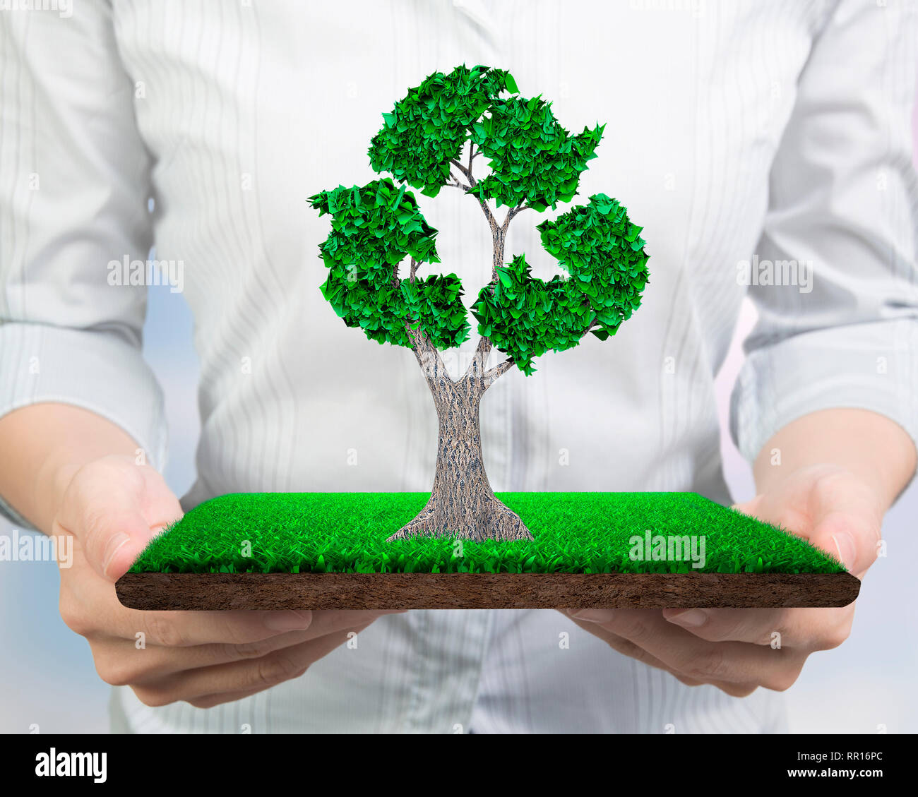 Concept d'assurer la récupération des ressources, zéro déchet et une technologie verte, femme hands holding tree avec des feuilles vertes de symbole de recyclage sur mead Banque D'Images
