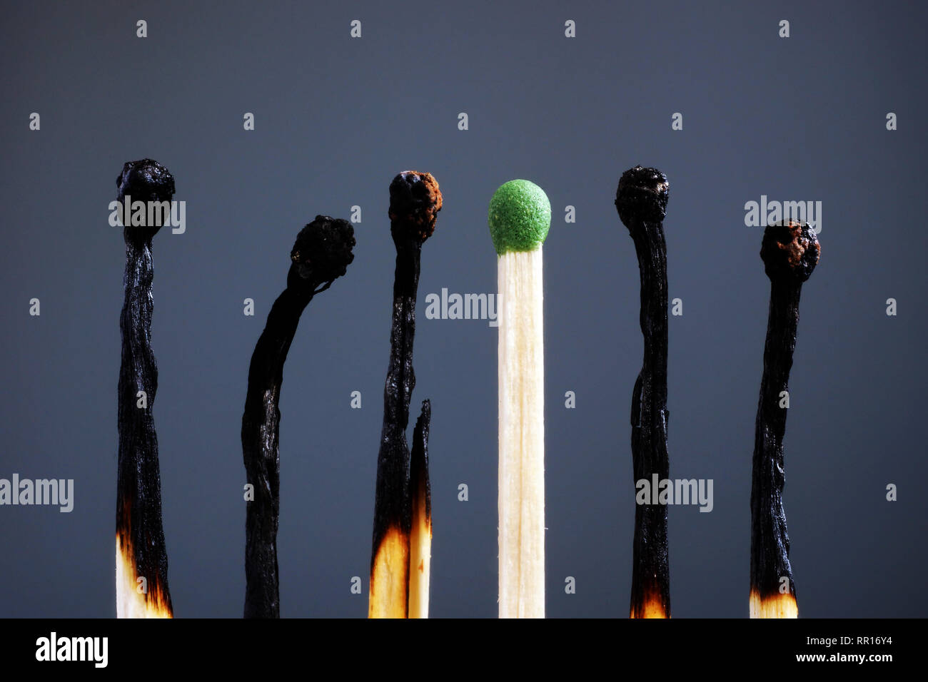 Ligne d'allumettes brûlées et un tout nouveau. L'individualité, le leadership, l'épuisement au travail et l'énergie. Banque D'Images