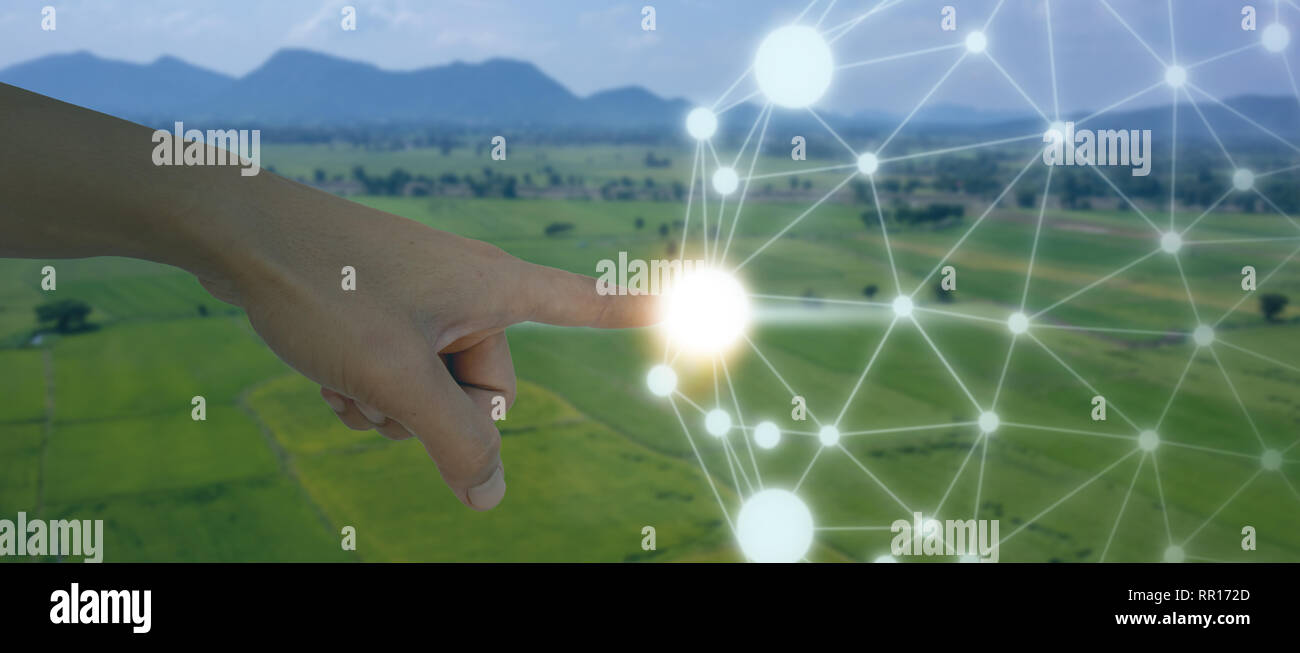 Iot, internet des objets, de l'agriculture, concept robotique intelligente (intelligence artificielle/ AI) pour utiliser le contrôle de gestion , , la surveillance et détecter avec t Banque D'Images