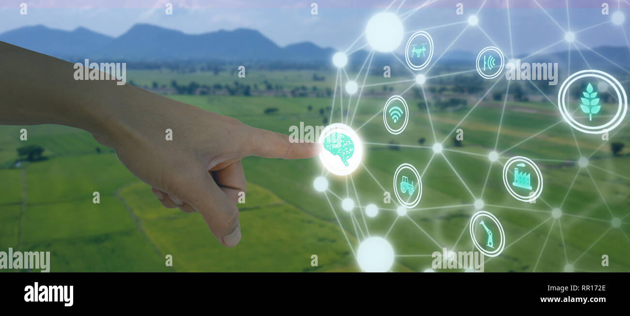 Iot, internet des objets, de l'agriculture, concept robotique intelligente (intelligence artificielle/ AI) pour utiliser le contrôle de gestion , , la surveillance et détecter avec t Banque D'Images