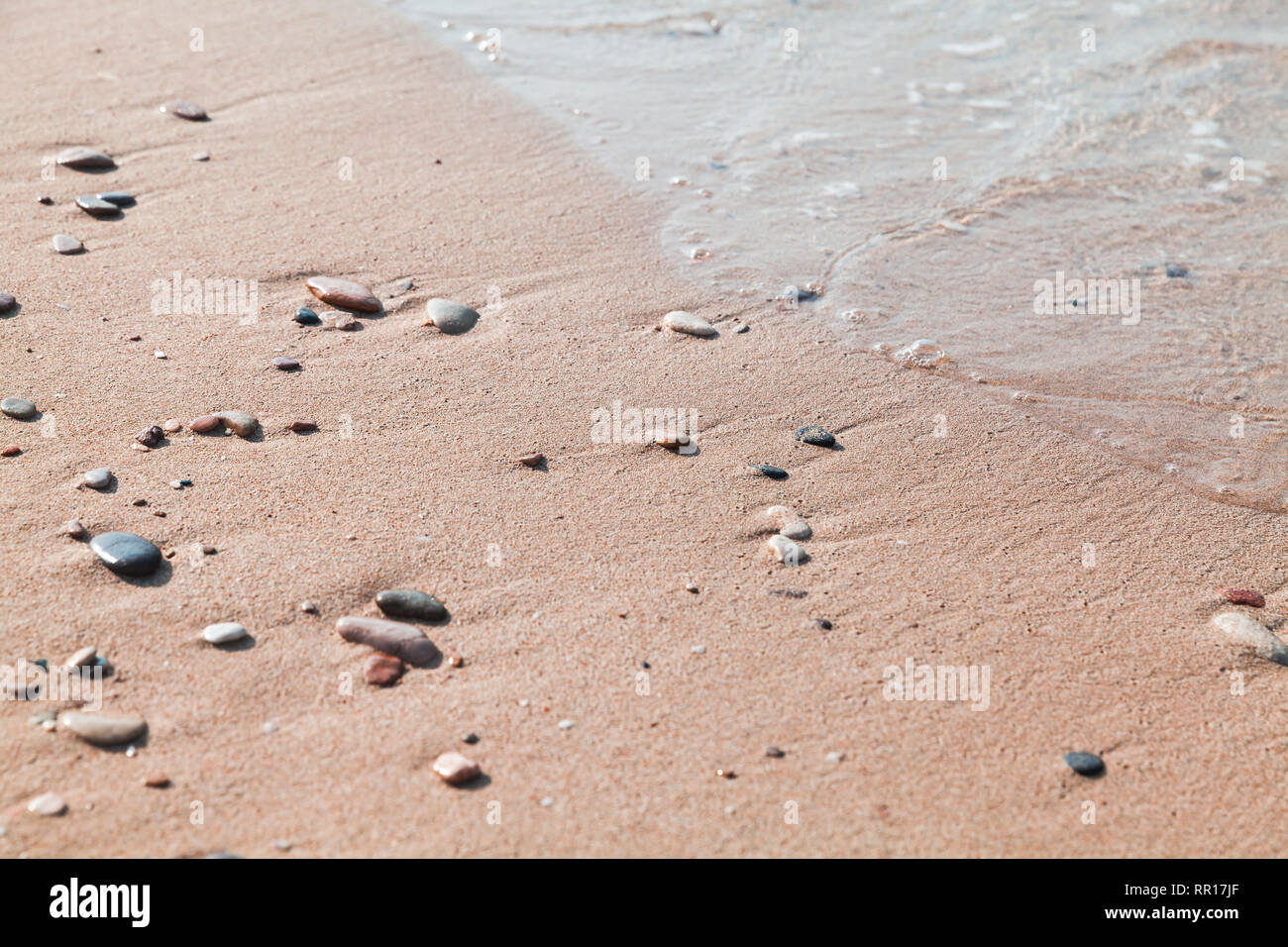 Petit pierre mouillée dans le sable sur la plage, l'été vacances mer fond photo Banque D'Images