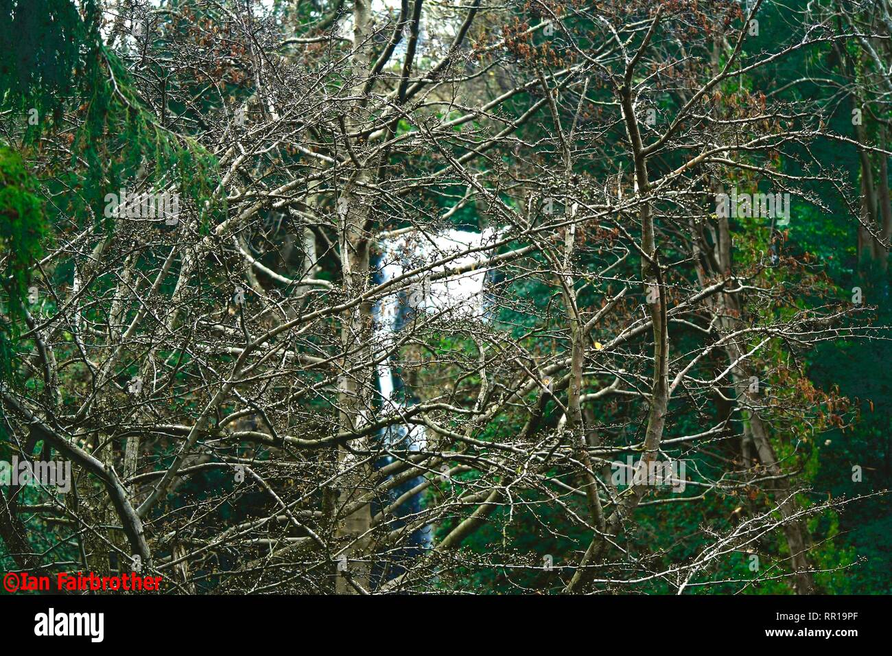 Dyserth,Uk Dyserth cascades sait que le joyau du nord du Pays de Galles Ian crédit Fairbrother/Alamy Stock Photos Banque D'Images