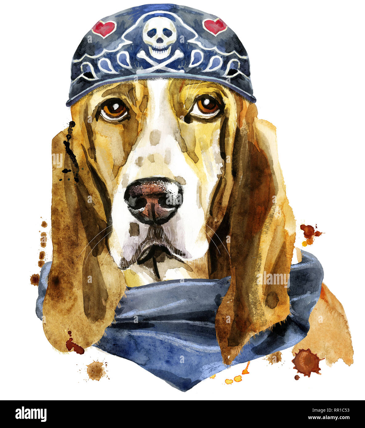 Joli Chien. T-shirt chien graphiques. Basset Hound aquarelle portant bandana biker Banque D'Images