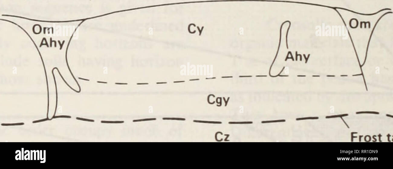 . L'usage agricole et l'étendue des zones humides de la Colombie-Britannique.. La conservation des zones humides ; zones humides ; zones humides ; zones humides. Ahyz ^ - ** Cz Frost tableau R.TC. Table Frost GL.TC 20 - 40 " 60 -1. Veuillez noter que ces images sont extraites de la page numérisée des images qui peuvent avoir été retouchées numériquement pour plus de lisibilité - coloration et l'aspect de ces illustrations ne peut pas parfaitement ressembler à l'œuvre originale.. Van Ryswyk, A. L ; Canada. Agriculture Canada. Direction générale de la recherche. [Ottawa]  : Agriculture Canada, Direction générale de la recherche Banque D'Images