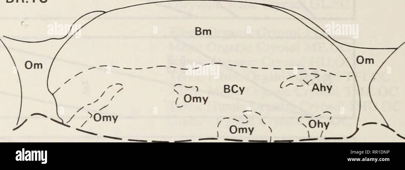 . L'usage agricole et l'étendue des zones humides de la Colombie-Britannique.. La conservation des zones humides ; zones humides ; zones humides ; zones humides. 0 - 20 - 40 - 60 - 80 - 100 O-i 20- 40- 60-' BR.TC. Ahyz ^ - ** Cz Frost tableau R.TC. Veuillez noter que ces images sont extraites de la page numérisée des images qui peuvent avoir été retouchées numériquement pour plus de lisibilité - coloration et l'aspect de ces illustrations ne peut pas parfaitement ressembler à l'œuvre originale.. Van Ryswyk, A. L ; Canada. Agriculture Canada. Direction générale de la recherche. [Ottawa]  : Agriculture Canada, Direction générale de la recherche Banque D'Images