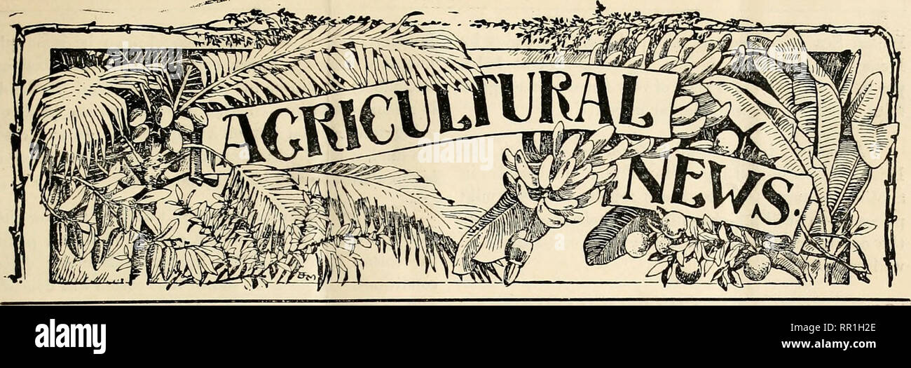 . Actualités agricoles. Agriculture -- Antilles ; maladies des plantes -- Antilles. *.- !&Gt ;. Une revue bimensuelle de l'IMPERIAL MINISTÈRE DE L'AGRICULTURE POUR LES ANTILLES. UBi<Un"v .-4EW YOrtK BOTANICAL GARDEN Tome IV. N° 76. BArtBADOS ilAECH, 11, lOO-',. Id. Table des matières. La page. La page. . Aijiicultur-xl les banques, la Grenade, Kaitfi agricole;j.sen 73 Industrits de Salon de l'agriculture : 73- Notes d'insectes :- Antigua 75 l'arrow-root ou de l'Apiculture 74 Ver :- Le pois comme une fleur Miel Jamaïque Industrj Tabac i i 68 Lym] hangitis), l'Epi/.Rapports 7479 Marché ontique Cyananiide 70 Calcium note une Banque D'Images