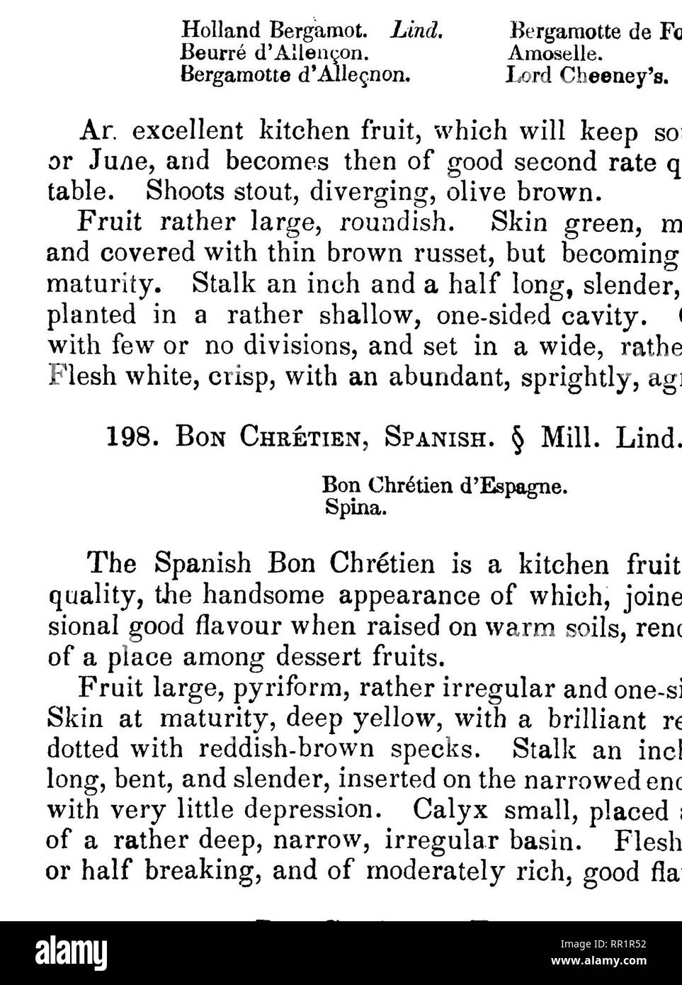 . Les fruits et les arbres fruitiers d'Amérique ;. La culture des fruits, des fruits. WINTBR FEABS. 431. Fig. 198. Colombie-britannique, que tout autre fruit au début de l'hiver. Il est grand, beau, très productive, et a une saveur riche, sucré, ressemblant, mais souvent à dépasser celle de l'nycthémérale Beurre. L'arbre grandit sur la ferme de M. casser, dans la région de Westchester Co., 13 miles de New-York. Sa productivité peut être jugé de à partir de ..Il a fait qu'un seul greffon, cinq ans inséré, a porté sur quatre boisseaux en une seule saison, et sa valeur comme un marché de fruits, les poires ayant facilement amené six dollars par boisseau, je Banque D'Images
